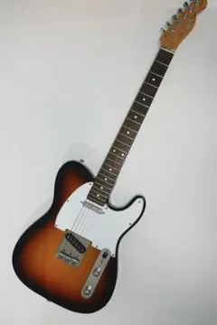 FGN テレキャスター　日本製 Telecaster 楽天市場】フジゲン テレキャス（楽器・音響機器）の通販
