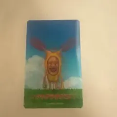 こびとづかん カード