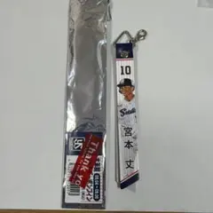 東京ヤクルトスワローズ 宮本丈 マッチデーボンフィン