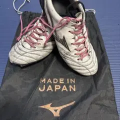 モレリアネオ4JAPAN