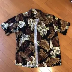 Item thumbnail for item 1ed23b31-538e-4dfd-9a05-fbd45c27e6d6