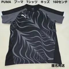 PUMA　プーマ　 キッズ　Tシャツ 160cm　DRYCELLのサムネイル