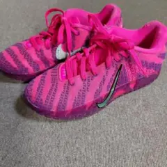 日本未販売カラー　NIKE Ja3 Price of Admission