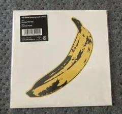 The Velvet Underground & Nico デモ&レア盤‼️ - メルカリ