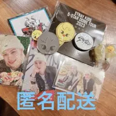 SKZOO ポガリ グミチャームめじるしアクセサリー ミラーステッカー他…計8点