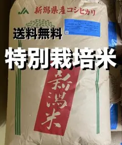 令和7年産 兵庫県姫路産 ヒノヒカリ 白米 27kg - メルカリ