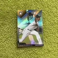 【希少】オーナーズリーグ　ダルビッシュ有　カード2枚 2025年最新】ダルビッシュ オーナーズリーグの人気アイテム