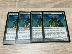 MTG コールドスナップ　CSP ボリアルのドルイド 英語　4枚セット