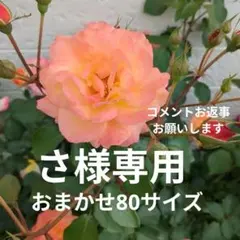 ♡ひなた 様 専用♡☆レジン ヘアゴム ブローチ☆ - メルカリ