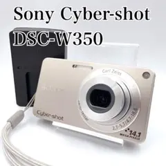 極美品 SONY Cyber-shot DSC-WX300 スマホ転送 1691 - メルカリ