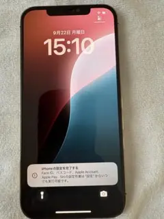 iPhone12 Pro Max 128GB SIMフリー 美品 ジャンク