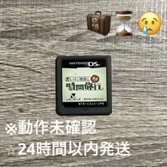 レイトン教授　最後の時間旅行　DSソフト