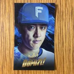 日ハム　DOMIれ！　北山亘基　シール　ステッカー
