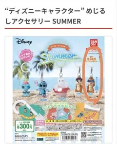 ディズニーキャラクター キーホルダー Summer デール