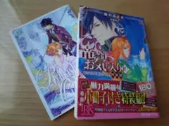 竜騎士のお気に入り. 10　竜の祈りと旅立ちの空　特装版