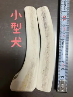 鹿の角　半割　43番のサムネイル