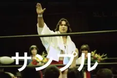 Item thumbnail for item 788911bf-53ca-4a24-9348-750917d6aba5