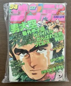 週刊少年サンデー 1980年27号 男大空 アニメ化告知 がんばれ元気 レトロ