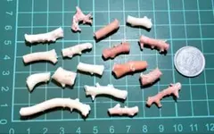 【お買い得】サンゴ詰め合わせ①