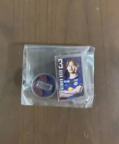 Item thumbnail for item 9cb31461-780c-41e0-a00a-fa4e6134bc1c