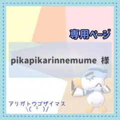 pikapikarinnemume様 リクエスト 5点 まとめ商品