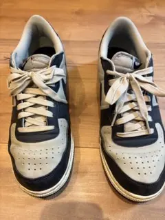 Nike Terminator Low "Georgetown"