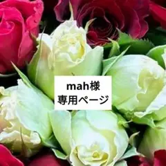 mah様 　はぎれ　生地