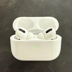 ピスピス様専用 Apple AirPods Pro 第1世代 Lightning