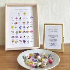 りんご様専用★ゲスト参加型　お花の結婚証明書★ 30種類以上のドライフラワー