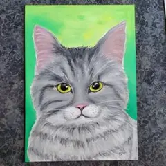 A4サイズ＊優しい眼差しのアメショー猫＊チョークアート＊原画