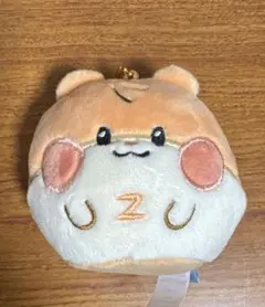2026年最新】ZeroBaseOne ハンビン ぬいぐるみの人気アイテム - メルカリ