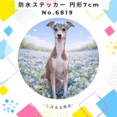 Item thumbnail for item 7bef1f95-a3f0-49ce-b47f-7d8fe767e7e4