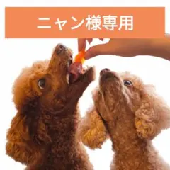 【ニャン様専用】無添加 国産鶏もみじジャーキー300g