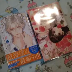 一読のみ！透明カバー付！きみとバラ色の日々 1 2巻セット　全巻