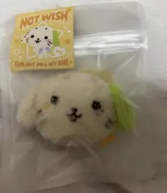NCT WISH WICHU ウィチュ ぬいぐるみ 公式 リョウ NCT WISH WICHU ウィチュ ぬいぐるみ 公式 リョウ