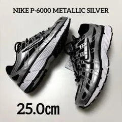 25.0㎝ NIKE P-6000 METALLIC SILVER 新品箱無し