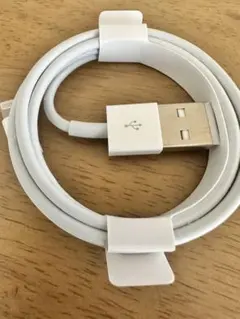 訳あり Apple純正 USB-A to LightningケーブルiPhone