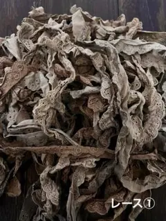 c*‪様 ①レース短め色々セット