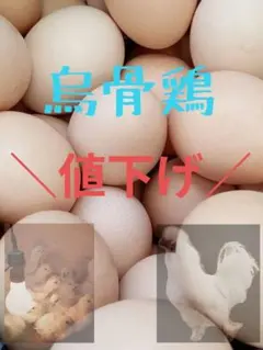 烏骨鶏　ゆめちゃん食品　鶏卵のサムネイル