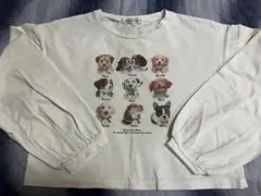 MAJESTIC LEGON・mily bilet トップスのサムネイル