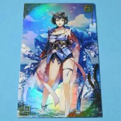 英傑大戦 絆 袁姫 新品未使用 - メルカリ