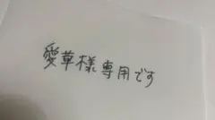 愛華様専用ですのサムネイル