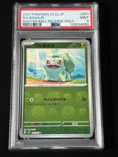 2026年最新】ポケモンカード フシギダネ マスターボールの人気アイテム