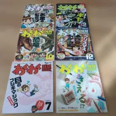 チャレンジ　3年生　わくわく発見book　6冊セット