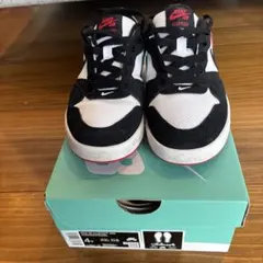 Nike SB Alleyoop スニーカー 4Y ブラック/ホワイト/レッド