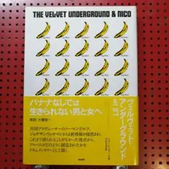 ヴェルヴェット・アンダーグラウンド&ニコ : もっとも嫌われ、もっとも影響力の…