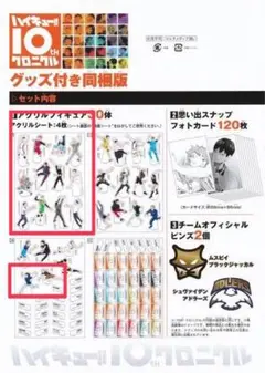 ハイキュー!! 10thクロニクル アクリルスタンド 烏野高校