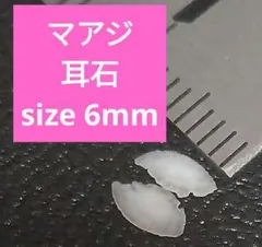 マアジ 耳石 お守りパワーストーン天然石宝石開運受験生物学 A18