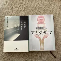 沼田まほかる 文庫本 2冊セット