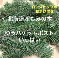 チトたん様 リクエスト 2点 まとめ商品
